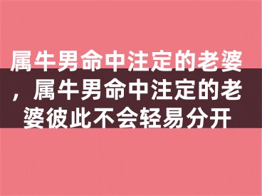 属牛男命中注定的老婆，属牛男命中注定的老婆彼此不会轻易分开