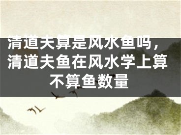 清道夫算是风水鱼吗,清道夫鱼在风水学上算不算鱼数量