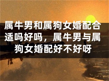 属牛男和属狗女婚配合适吗好吗，属牛男与属狗女婚配好不好呀