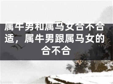 属牛男和属马女合不合适，属牛男跟属马女的合不合