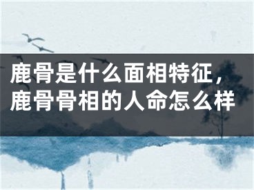 鹿骨是什么面相特征，鹿骨骨相的人命怎么样