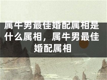 属牛男最佳婚配属相是什么属相，属牛男最佳婚配属相