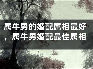 属牛男的婚配属相最好，属牛男婚配最佳属相