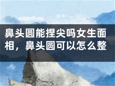 鼻头圆能捏尖吗女生面相，鼻头圆可以怎么整