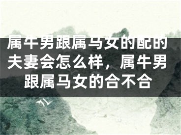 属牛男跟属马女的配的夫妻会怎么样，属牛男跟属马女的合不合