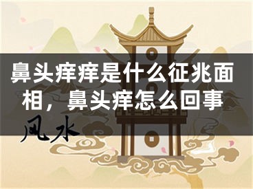 鼻头痒痒是什么征兆面相,鼻头痒怎么回事