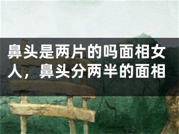 鼻头是两片的吗面相女人，鼻头分两半的面相