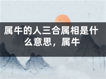属牛的人三合属相是什么意思，属牛