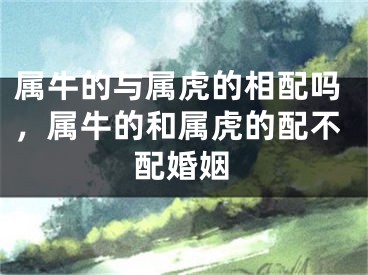 属牛的与属虎的相配吗，属牛的和属虎的配不配婚姻
