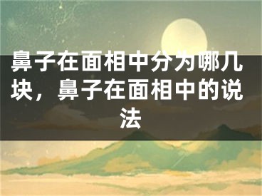 鼻子在面相中分为哪几块，鼻子在面相中的说法