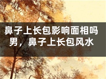 鼻子上长包影响面相吗男，鼻子上长包风水