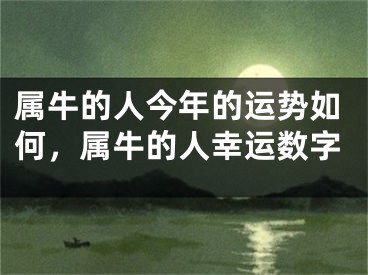 属牛的人今年的运势如何，属牛的人幸运数字