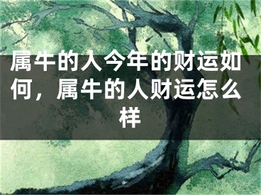 属牛的人今年的财运如何，属牛的人财运怎么样
