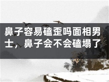 鼻子容易磕歪吗面相男士，鼻子会不会磕塌了