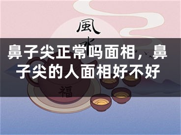 鼻子尖正常吗面相，鼻子尖的人面相好不好