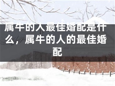 属牛的人最佳婚配是什么，属牛的人的最佳婚配