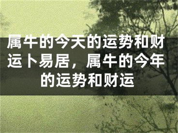 属牛的今天的运势和财运卜易居，属牛的今年的运势和财运