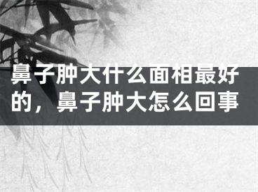 鼻子肿大什么面相最好的,鼻子肿大怎么回事