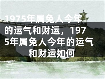 1975年属兔人今年的运气和财运，1975年属兔人今年的运气和财运如何