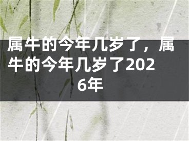 属牛的今年几岁了，属牛的今年几岁了2026年