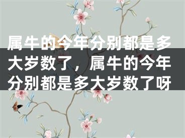 属牛的今年分别都是多大岁数了，属牛的今年分别都是多大岁数了呀