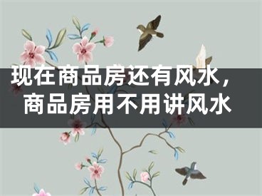 现在商品房还有风水,商品房用不用讲风水