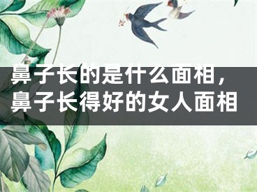 鼻子长的是什么面相，鼻子长得好的女人面相