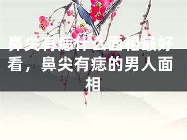 鼻尖有痣什么面相最好看，鼻尖有痣的男人面相
