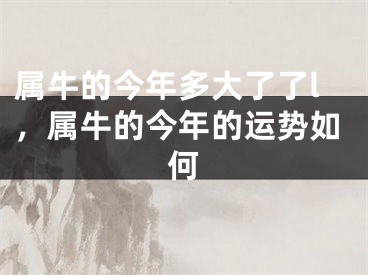 属牛的今年多大了了l，属牛的今年的运势如何