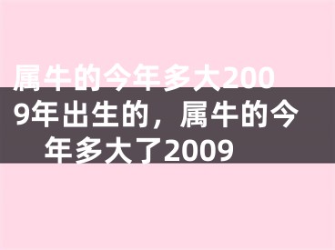 属牛的今年多大2009年出生的，属牛的今年多大了2009