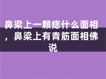 鼻梁上一颗痣什么面相,鼻梁上有青筋面相佛说