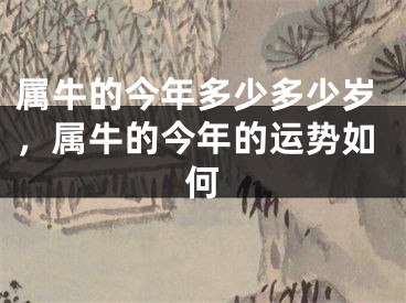 属牛的今年多少多少岁，属牛的今年的运势如何