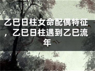 乙巳日柱女命配偶特征，乙巳日柱遇到乙巳流年