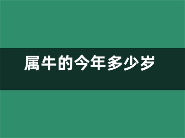 属牛的今年多少岁