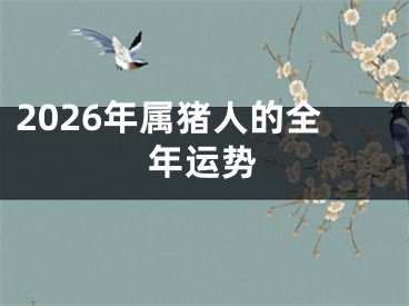 2026年属猪人的全年运势