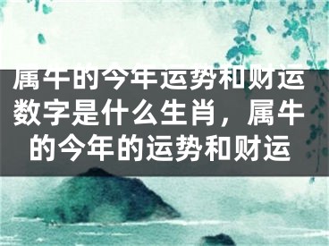 属牛的今年运势和财运数字是什么生肖，属牛的今年的运势和财运