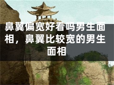 鼻翼偏宽好看吗男生面相，鼻翼比较宽的男生面相