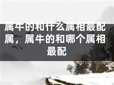 属牛的和什么属相最配属，属牛的和哪个属相最配