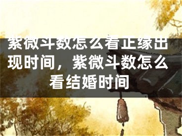 紫微斗数怎么看正缘出现时间,紫微斗数怎么看结婚时间