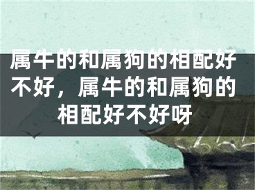 属牛的和属狗的相配好不好，属牛的和属狗的相配好不好呀