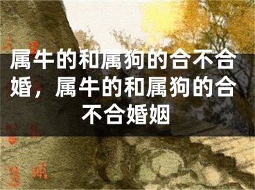 属牛的和属狗的合不合婚，属牛的和属狗的合不合婚姻