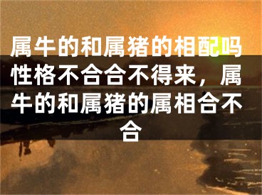 属牛的和属猪的相配吗性格不合合不得来，属牛的和属猪的属相合不合