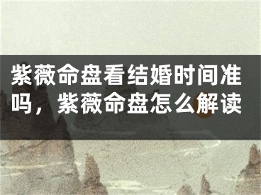 紫薇命盘看结婚时间准吗，紫薇命盘怎么解读