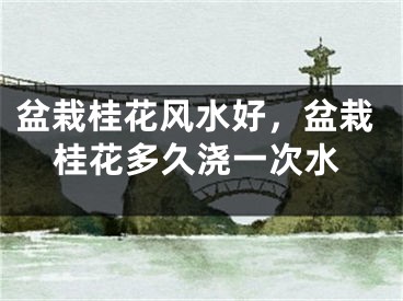 盆栽桂花风水好,盆栽桂花多久浇一次水