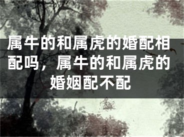 属牛的和属虎的婚配相配吗，属牛的和属虎的婚姻配不配
