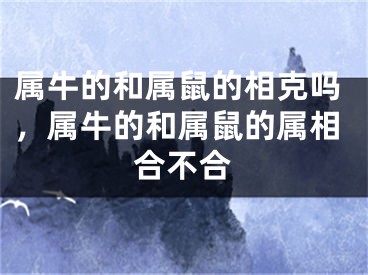 属牛的和属鼠的相克吗，属牛的和属鼠的属相合不合