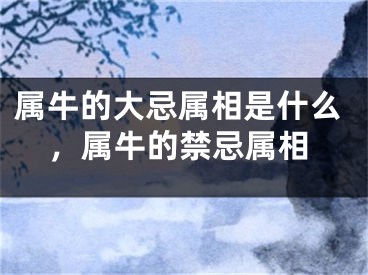 属牛的大忌属相是什么，属牛的禁忌属相