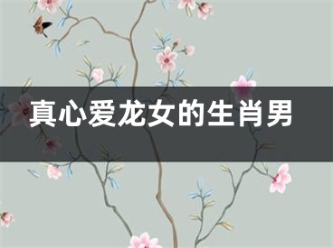 真心爱龙女的生肖男