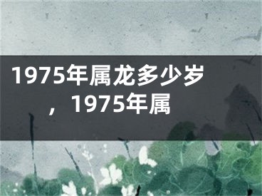 1975年属龙多少岁,1975年属