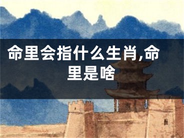 命里会指什么生肖,命里是啥